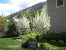 gallery/small/0 (26)-Gardening-Sun-Valley-Idaho.jpg